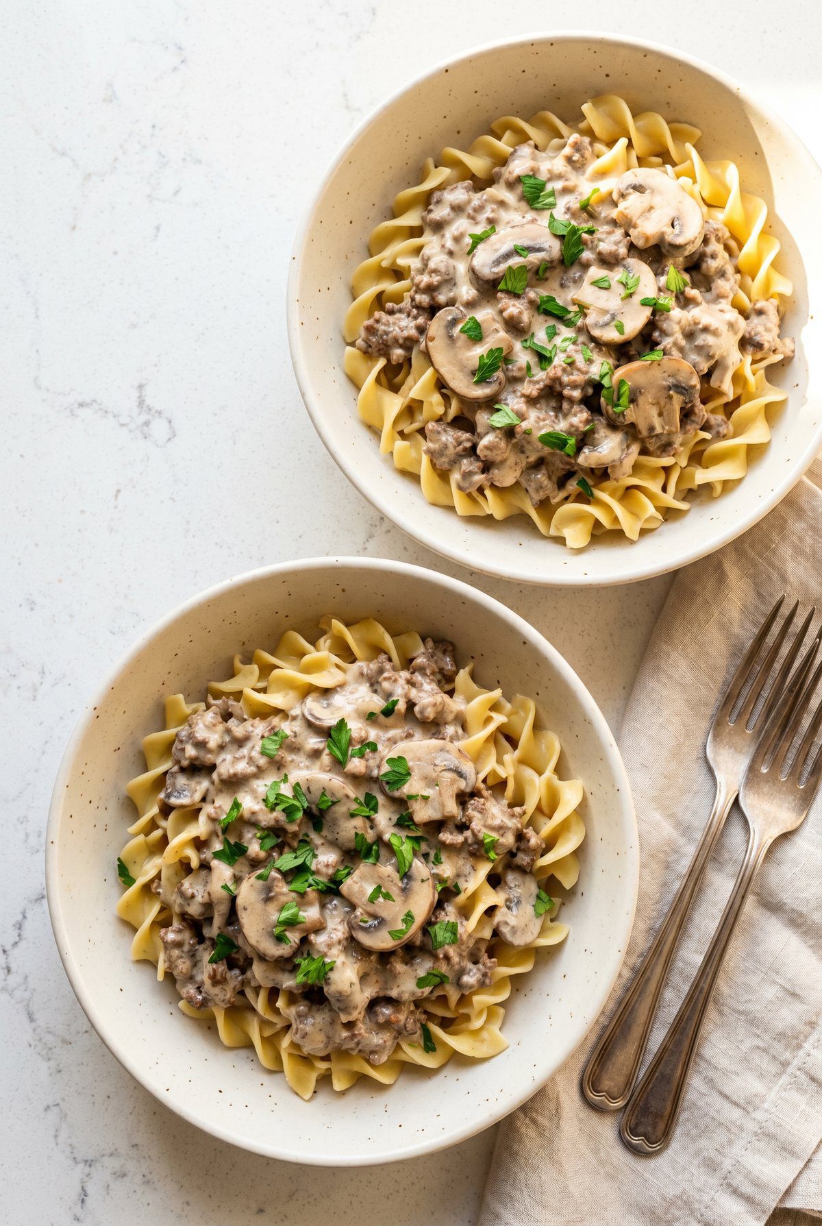 Overhead view of Ground Beef Stroganoff