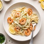 Shrimp Alfredo